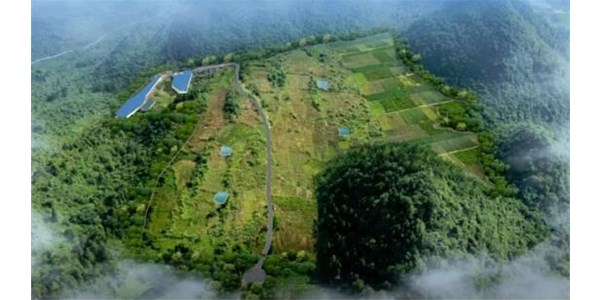 年豬示范養(yǎng)殖基地正式投欄，將帶動(dòng)來(lái)鳳縣2個(gè)億生豬產(chǎn)值