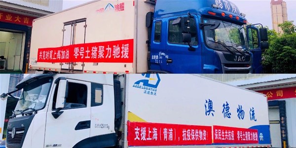 “同心抗疫 聚力成?！?從深山到上海，只是一個(gè)用心的距離